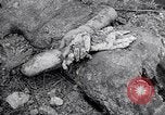 Immagine di Corpi morti Belgio, 1944, secondo 47 filmato di repertorio 65675036056