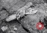 Immagine di Corpi morti Belgio, 1944, secondo 48 filmato di repertorio 65675036056