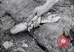 Immagine di Corpi morti Belgio, 1944, secondo 49 filmato di repertorio 65675036056