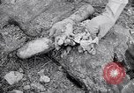 Immagine di Corpi morti Belgio, 1944, secondo 50 filmato di repertorio 65675036056