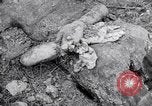 Immagine di Corpi morti Belgio, 1944, secondo 51 filmato di repertorio 65675036056