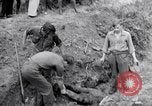 Immagine di Corpi morti Belgio, 1944, secondo 55 filmato di repertorio 65675036056