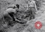 Immagine di Corpi morti Belgio, 1944, secondo 56 filmato di repertorio 65675036056