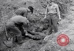 Immagine di Corpi morti Belgio, 1944, secondo 57 filmato di repertorio 65675036056