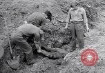 Immagine di Corpi morti Belgio, 1944, secondo 58 filmato di repertorio 65675036056