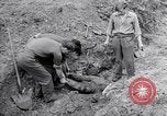 Immagine di Corpi morti Belgio, 1944, secondo 59 filmato di repertorio 65675036056