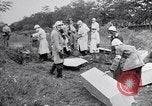 Immagine di Corpi morti Belgio, 1944, secondo 61 filmato di repertorio 65675036056