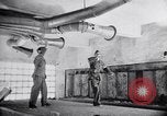 Standbild Brennraum von Nazis Belgien, 1944, aus Sekunde 12 historischem Filmmaterial Videoclip 65675036057