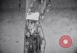 Standbild Brennraum von Nazis Belgien, 1944, aus Sekunde 35 historischem Filmmaterial Videoclip 65675036057