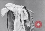 Standbild Brennraum von Nazis Belgien, 1944, aus Sekunde 61 historischem Filmmaterial Videoclip 65675036057