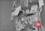 Standbild Erschießungskommando Kammer der Nazis Belgien, 1944, aus Sekunde 32 historischem Filmmaterial Videoclip 65675036058