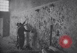 Image of concentration camps Belgium, 1944, second 11 stock footage video 65675036059