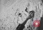 Image of concentration camps Belgium, 1944, second 16 stock footage video 65675036059