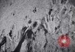 Image of concentration camps Belgium, 1944, second 18 stock footage video 65675036059