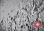 Image of concentration camps Belgium, 1944, second 19 stock footage video 65675036059