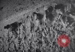 Image of concentration camps Belgium, 1944, second 23 stock footage video 65675036059