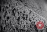 Image of concentration camps Belgium, 1944, second 34 stock footage video 65675036059