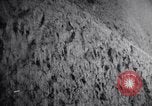 Image of concentration camps Belgium, 1944, second 39 stock footage video 65675036059