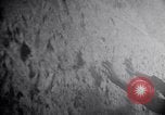 Image of concentration camps Belgium, 1944, second 53 stock footage video 65675036059