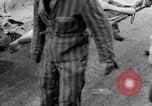Standbild Leichen von NS-Gefangenen Ebensee Österreich, 1945, aus Sekunde 61 historischem Filmmaterial Videoclip 65675036064