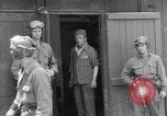 Immagine di Campo di concentramento i prigionieri Ebensee Austria, 1945, secondo 38 filmato di repertorio 65675036065