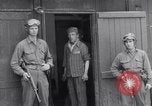Immagine di Campo di concentramento i prigionieri Ebensee Austria, 1945, secondo 39 filmato di repertorio 65675036065