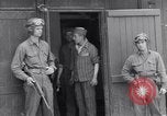 Immagine di Campo di concentramento i prigionieri Ebensee Austria, 1945, secondo 41 filmato di repertorio 65675036065