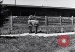 Image Dachau ConcentrationCamp Dachau Allemagne, 1946, de la seconde 44 séquences d'archives historiques vidéo 65675036072