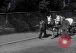 Image of Dachau concentration camp Dachau Germany, 1945, second 14 stock footage video 65675036083