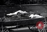 Image of Dachau concentration camp Dachau Germany, 1945, second 39 stock footage video 65675036083