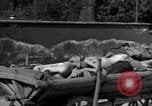 Image of Dachau concentration camp Dachau Germany, 1945, second 62 stock footage video 65675036083