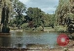 Immagine di Il laghetto nel parco pubblico Colonia Germania, 1945, secondo 3 filmato di repertorio 65675036099