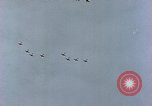 Immagine di Formazione di aerei da combattimento Germania, 1945, secondo 4 filmato di repertorio 65675036101