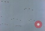 Immagine di Formazione di aerei da combattimento Germania, 1945, secondo 24 filmato di repertorio 65675036101