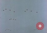 Immagine di Formazione di aerei da combattimento Germania, 1945, secondo 26 filmato di repertorio 65675036101