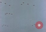 Immagine di Formazione di aerei da combattimento Germania, 1945, secondo 27 filmato di repertorio 65675036101