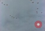 Immagine di Formazione di aerei da combattimento Germania, 1945, secondo 35 filmato di repertorio 65675036101
