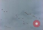 Immagine di Formazione di aerei da combattimento Germania, 1945, secondo 38 filmato di repertorio 65675036101