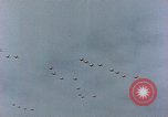 Immagine di Formazione di aerei da combattimento Germania, 1945, secondo 39 filmato di repertorio 65675036101