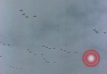 Immagine di Formazione di aerei da combattimento Germania, 1945, secondo 41 filmato di repertorio 65675036101