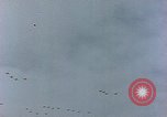 Immagine di Formazione di aerei da combattimento Germania, 1945, secondo 44 filmato di repertorio 65675036101