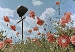Image tombe d'un soldat américain Allemagne, 1945, de la seconde 4 séquences d'archives historiques vidéo 65675036103