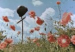 Image tombe d'un soldat américain Allemagne, 1945, de la seconde 5 séquences d'archives historiques vidéo 65675036103