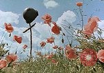 Image tombe d'un soldat américain Allemagne, 1945, de la seconde 8 séquences d'archives historiques vidéo 65675036103