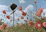 Image tombe d'un soldat américain Allemagne, 1945, de la seconde 12 séquences d'archives historiques vidéo 65675036103