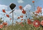 Image tombe d'un soldat américain Allemagne, 1945, de la seconde 13 séquences d'archives historiques vidéo 65675036103