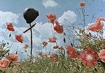 Image tombe d'un soldat américain Allemagne, 1945, de la seconde 14 séquences d'archives historiques vidéo 65675036103
