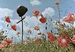 Image tombe d'un soldat américain Allemagne, 1945, de la seconde 15 séquences d'archives historiques vidéo 65675036103