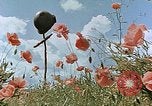 Image tombe d'un soldat américain Allemagne, 1945, de la seconde 16 séquences d'archives historiques vidéo 65675036103