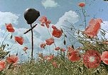 Image tombe d'un soldat américain Allemagne, 1945, de la seconde 20 séquences d'archives historiques vidéo 65675036103